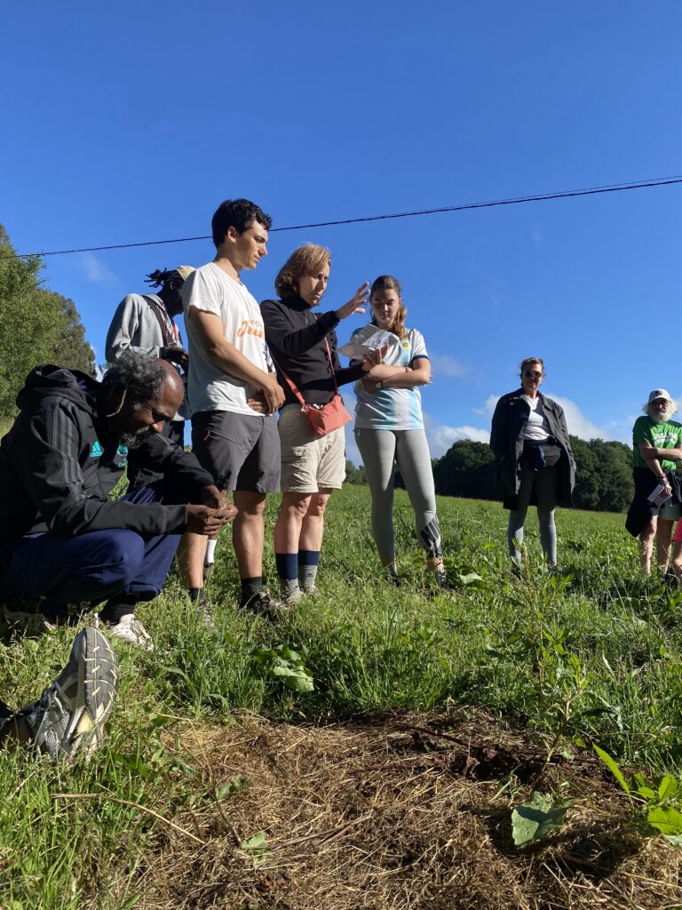 Camino de Santiago 2024: Un camino de encuentro